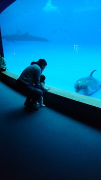 アクアワールド茨城県大洗水族館に投稿された画像（2023/1/18）
