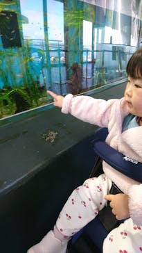 アクアワールド茨城県大洗水族館に投稿された画像（2023/1/18）