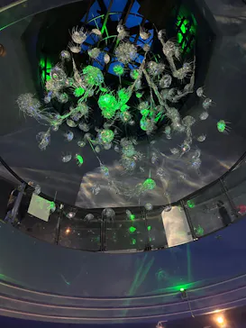 横浜・八景島シーパラダイスに投稿された画像（2023/1/18）