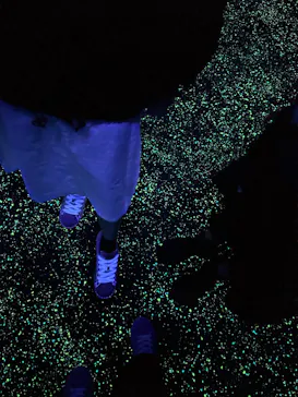 横浜・八景島シーパラダイスに投稿された画像（2023/1/18）