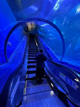 横浜・八景島シーパラダイスに投稿された画像（2023/1/18）