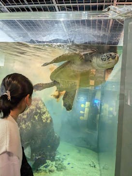 九十九島水族館海きららに投稿された画像（2023/1/18）