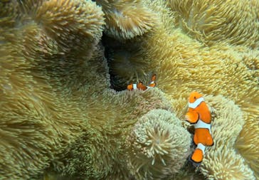 宮古島 ADVENTURE PiPi（ミヤコジマ アドベンチャー ピピ）に投稿された画像（2023/1/18）