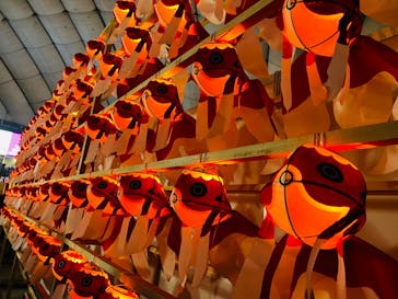 ふるさと祭り東京に投稿された画像（2023/1/18）