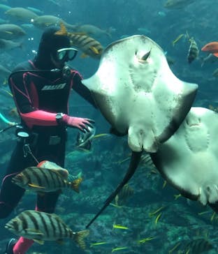 下田海中水族館に投稿された画像（2023/1/18）