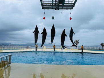 マリンワールド海の中道に投稿された画像（2023/1/18）