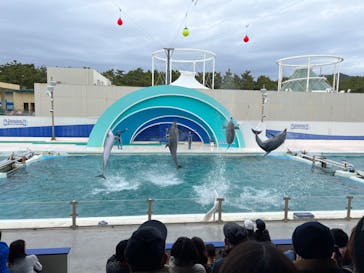 鴨川シーワールドに投稿された画像（2023/1/18）