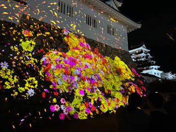 福山城400年博-FUKUYAMA CASTLE EXPO 2022- RCC開局70年 「チームラボ 福山城 光の祭」に投稿された画像（2023/1/18）
