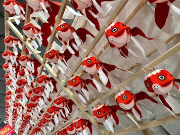 ふるさと祭り東京に投稿された画像（2023/1/18）