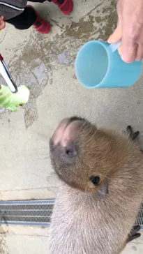 神戸どうぶつ王国に投稿された画像（2023/1/18）