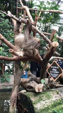 神戸どうぶつ王国に投稿された画像（2023/1/18）