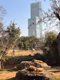 天王寺動物園に投稿された画像（2023/1/19）