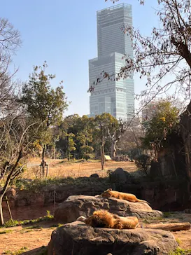 天王寺動物園に投稿された画像（2023/1/18）