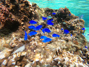 武藤潜水に投稿された画像（2023/1/19）