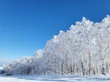 函館七飯スノーパークに投稿された画像（2023/1/19）