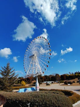 淡路ワールドパークONOKOROに投稿された画像（2023/1/19）