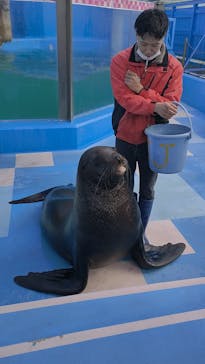 ゼロ距離水族館 伊勢シーパラダイスに投稿された画像（2023/1/19）