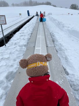 スキージャム勝山に投稿された画像（2023/1/19）