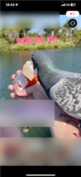 沖縄こどもの国に投稿された画像（2023/1/19）