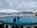 鴨川シーワールドに投稿された画像（2023/1/19）