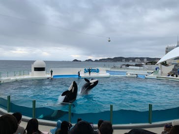 鴨川シーワールドに投稿された画像（2023/1/19）