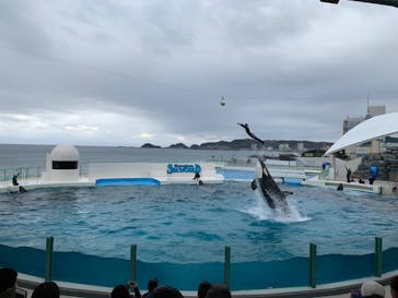 鴨川シーワールドに投稿された画像（2023/1/19）