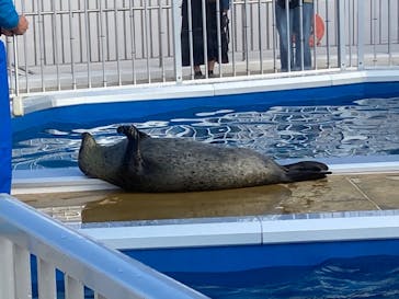 四国水族館に投稿された画像（2023/1/19）