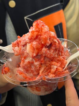 ふるさと祭り東京に投稿された画像（2023/1/19）