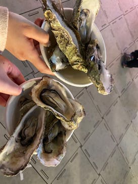 ふるさと祭り東京に投稿された画像（2023/1/19）