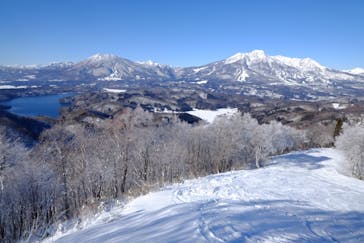 T.M.N.スキースクールに投稿された画像（2023/1/19）
