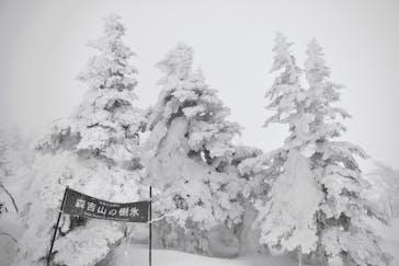 阿仁スキー場に投稿された画像（2023/1/19）
