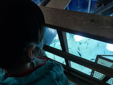 サンシャイン水族館に投稿された画像（2023/1/19）