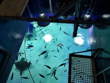 サンシャイン水族館に投稿された画像（2023/1/19）