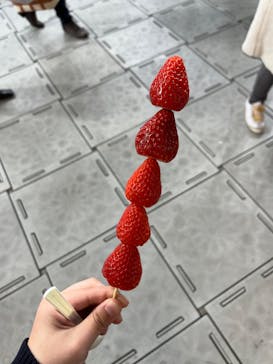 ふるさと祭り東京に投稿された画像（2023/1/20）