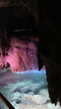 おきなわワールドに投稿された画像（2023/1/20）