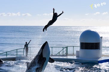鴨川シーワールドに投稿された画像（2023/1/20）
