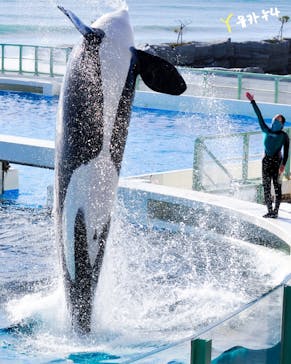 鴨川シーワールドに投稿された画像（2023/1/20）