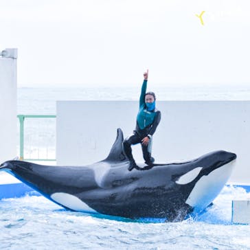 鴨川シーワールドに投稿された画像（2023/1/20）