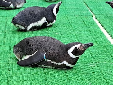 株式会社Gに投稿された画像（2023/1/20）