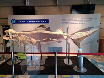 株式会社Gに投稿された画像（2023/1/20）