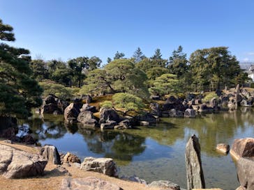 元離宮二条城に投稿された画像（2023/1/20）