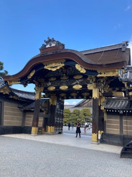 元離宮二条城に投稿された画像（2023/1/20）