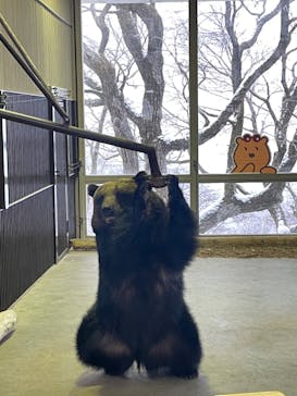 のぼりべつクマ牧場に投稿された画像（2023/1/20）