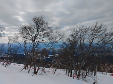 スキージャム勝山に投稿された画像（2023/1/20）