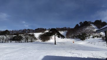 大仙市営協和スキー場に投稿された画像（2023/1/20）