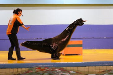 ゼロ距離水族館 伊勢シーパラダイスに投稿された画像（2023/1/20）