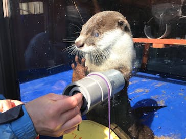 ゼロ距離水族館 伊勢シーパラダイスに投稿された画像（2023/1/20）