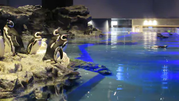 すみだ水族館に投稿された画像（2023/1/20）