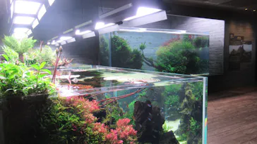 すみだ水族館に投稿された画像（2023/1/20）