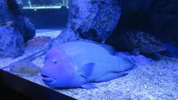 すみだ水族館に投稿された画像（2023/1/20）